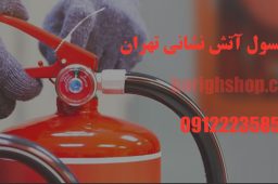  شارژ کپسول آتش نشانی تهران